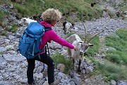 Anello Lago Rotondo di Trona, Pizzo Paradiso, Cima di Valpianella, Rif, Benigni il 27 agosto 2018 - FOTOGALLERY